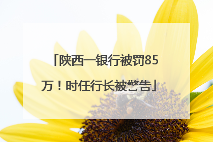 陕西一银行被罚85万！时任行长被警告